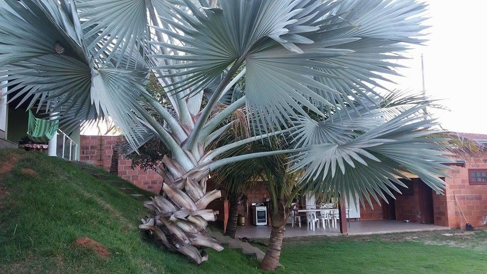 Casa de hóspedes Recanto Elohim Itapira